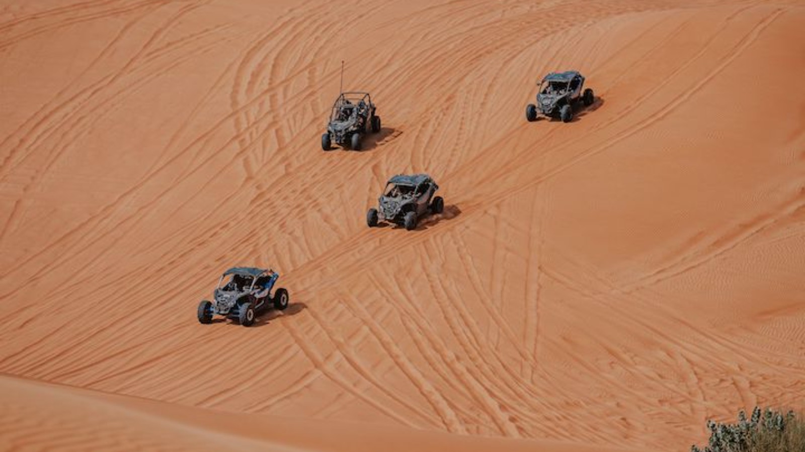 Moab ATV Rentals (demo)